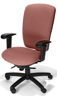 Rainier High Back Manager's/ Secretarial Chair
